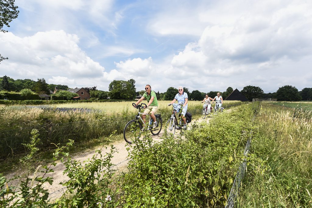 Fietsen Utrechtse Heuvelrug