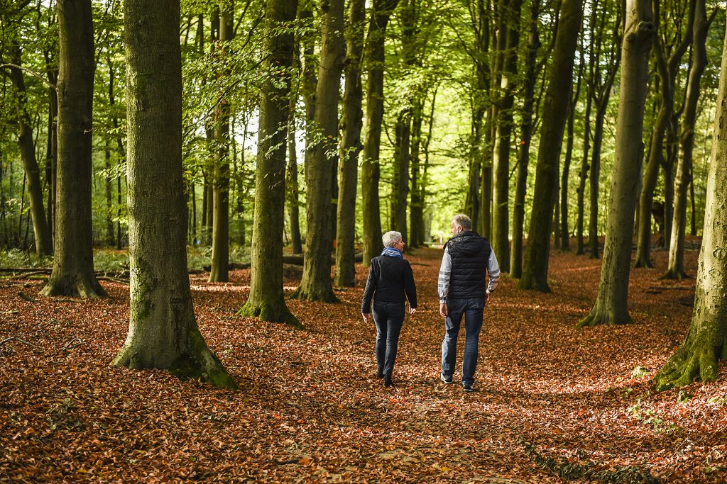 Wandelen stel bos Utrechtse Heuvelrug