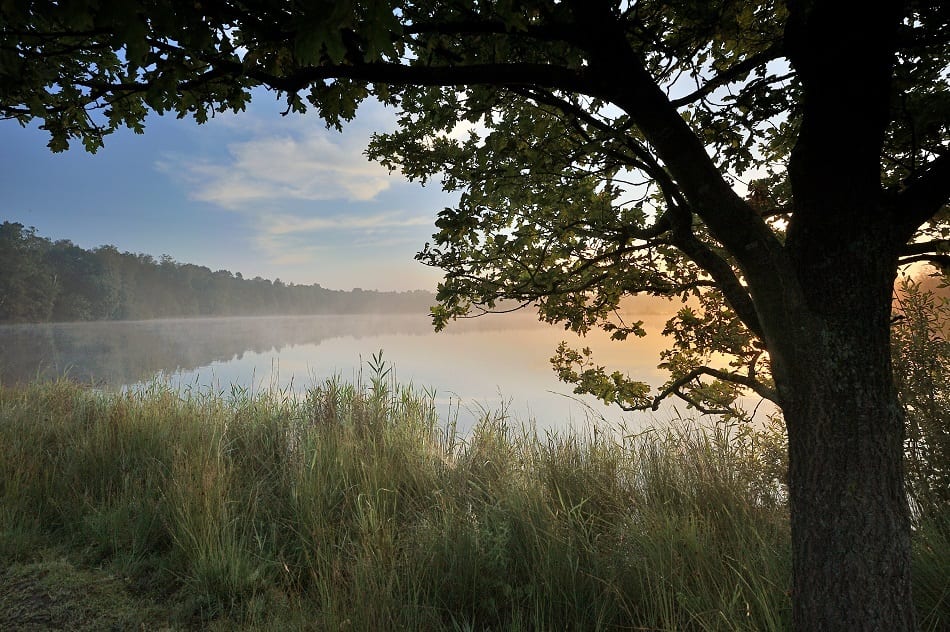 Landschappen Utrechtse Heuvelrug